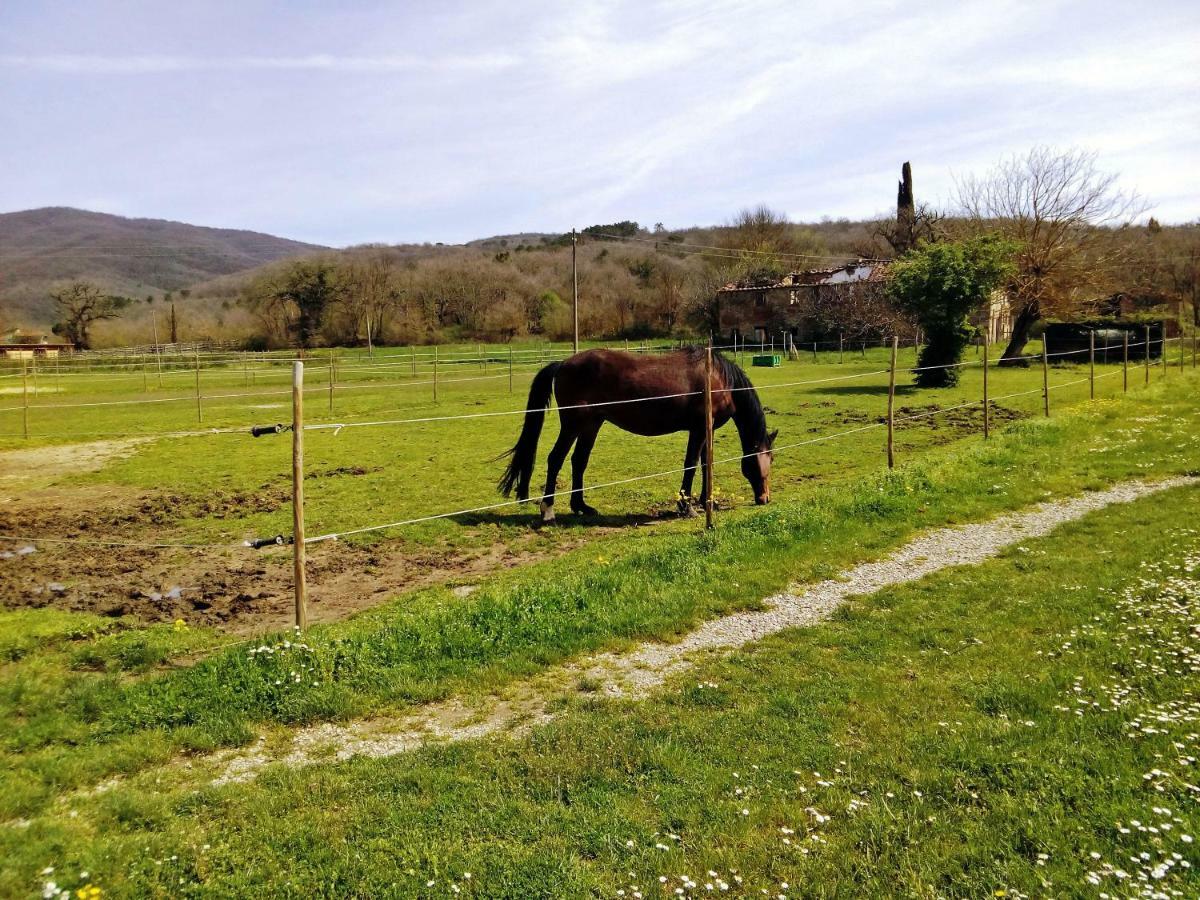 Ferienwohnung Antica Dimora Figli Di Bocco Castiglion Fibocchi Exterior foto